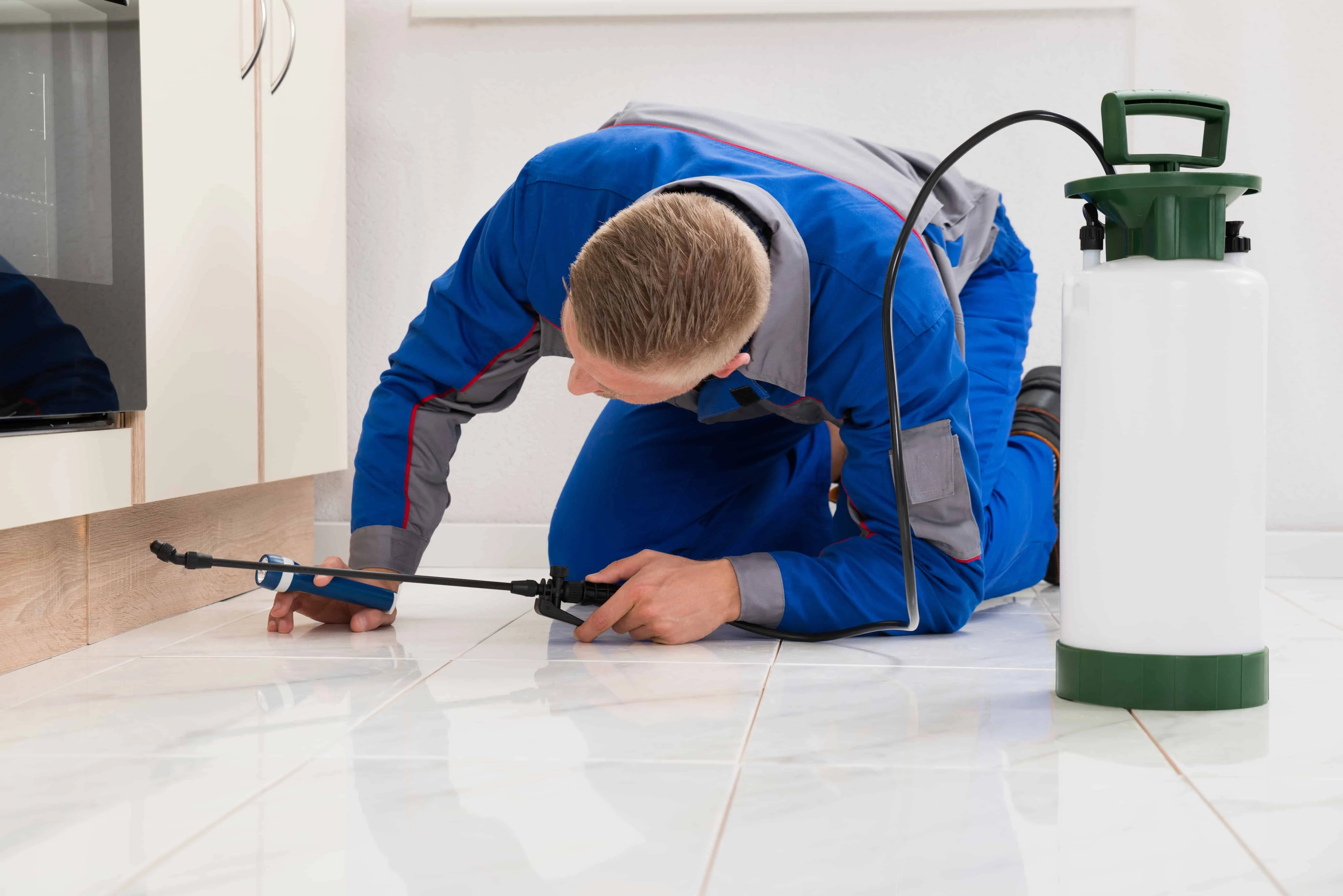How to Do Your Own Pest Control Monitoring Just Like the Pros Do