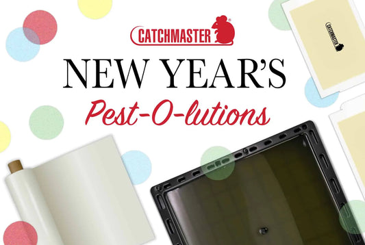 5 New Year's Pest-o-Lutions