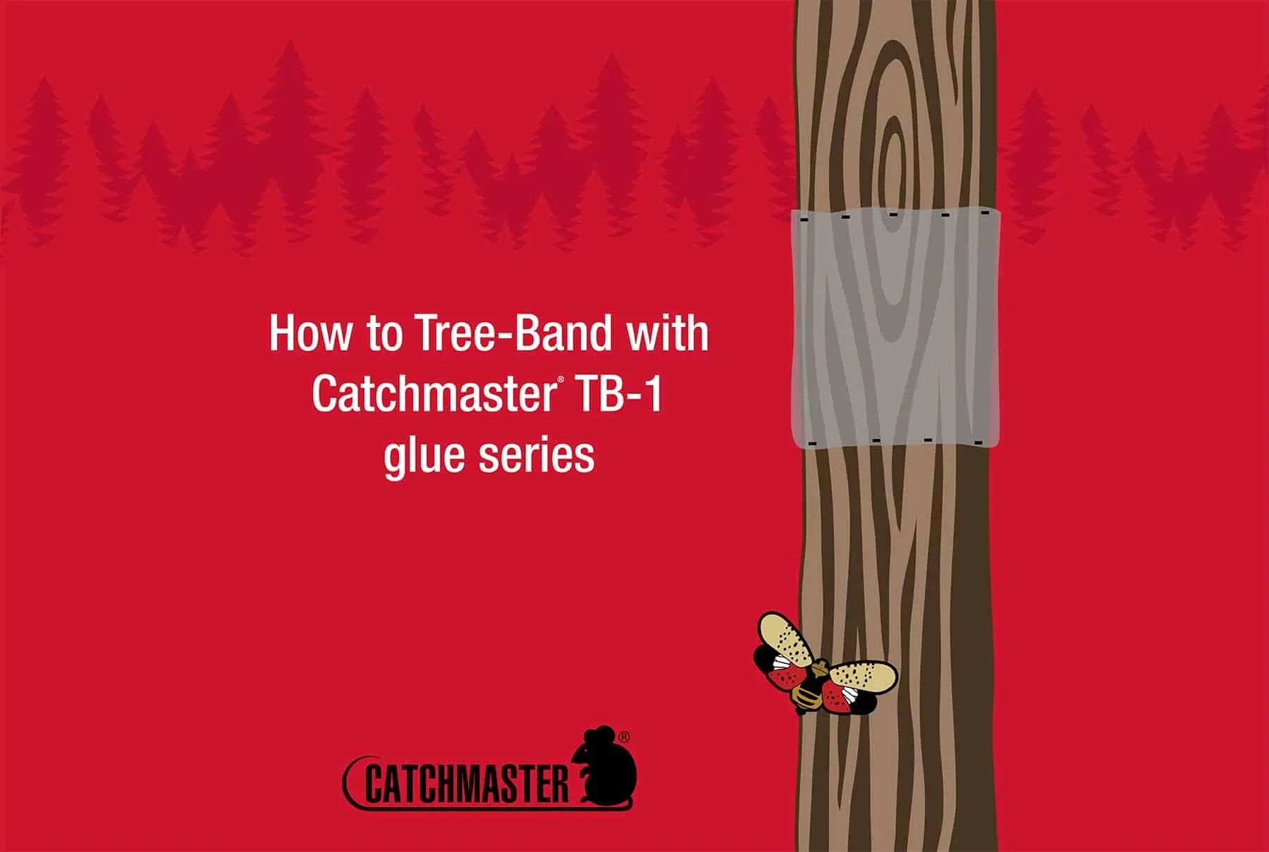 Tree-Banding 101