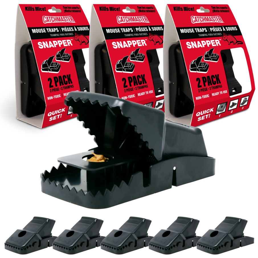 Choosing the Right Bait for Mouse Traps: A Comprehensive Guide