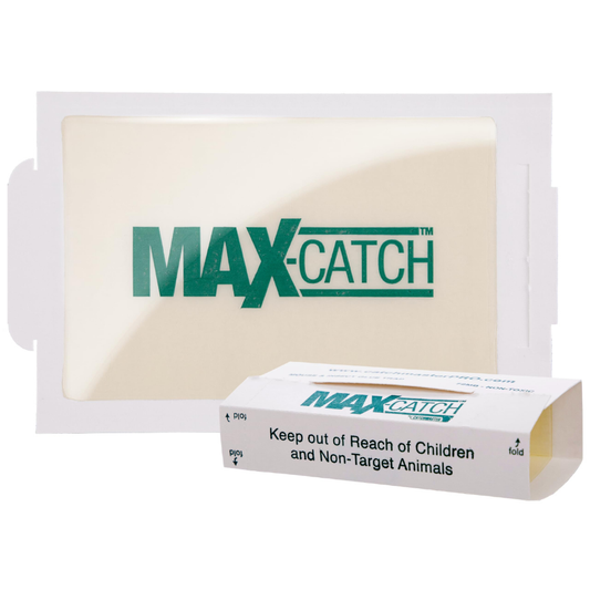 Catchmaster Max-Catch Mouse & Insect Glue Traps - 432 Count Catchmaster Max-Catch Mouse & Insect Glue Traps - 432 Count