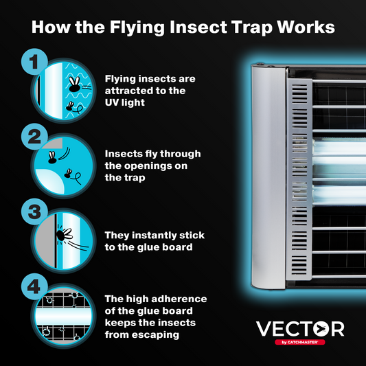 Vector Plasma Grilled UV Light Fly Trap Vector Plasma Grilled UV Light Fly Trap