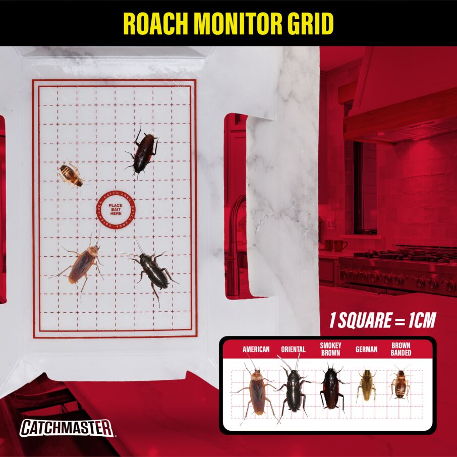 Catchmaster Cockroach Trap with Powerful Food-Based Bait – Glue Traps (10-Pk) Catchmaster Cockroach Trap with Powerful Food-Based Bait – Glue Traps (10-Pk)