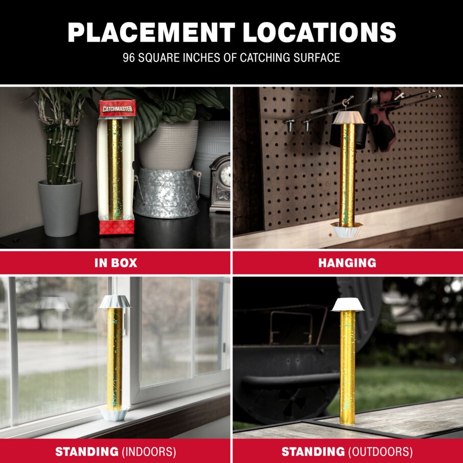 Gold Stick Fly Sticky Traps with Attractant Gold Stick Fly Sticky Traps with Attractant