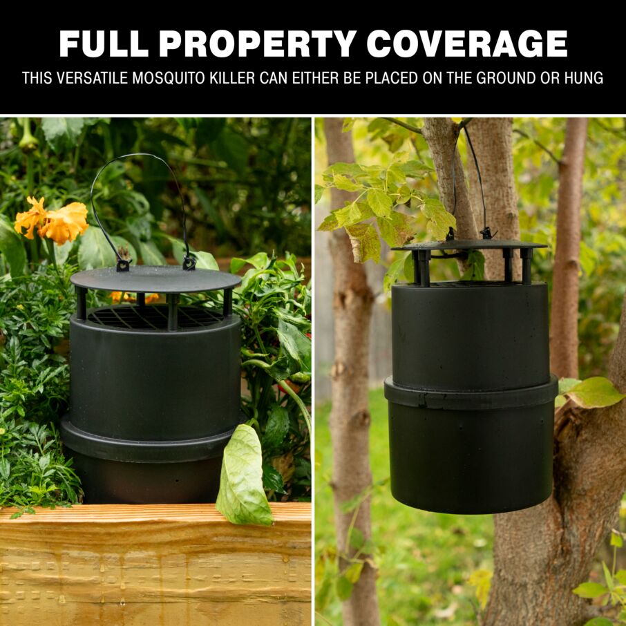 Oasis Ovi-Mini Mosquito Trap Refill 8-Pack Oasis Ovi-Mini Mosquito Trap Refill 8-Pack