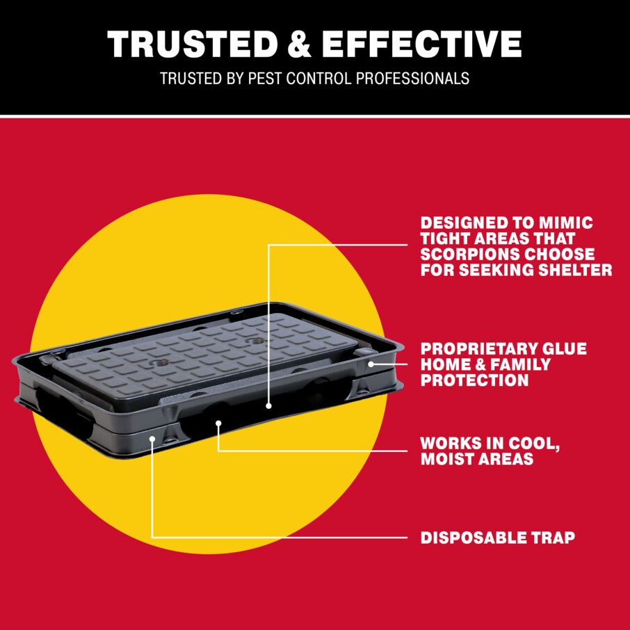 Scorpion Glue Tray Traps Scorpion Glue Tray Traps