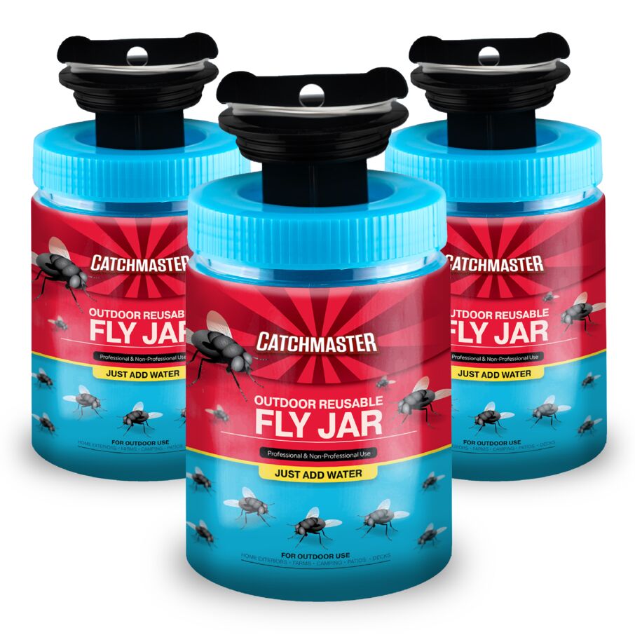 Reusable Fly Trap Jar With Food-Based Lure Reusable Fly Trap Jar With Food-Based Lure