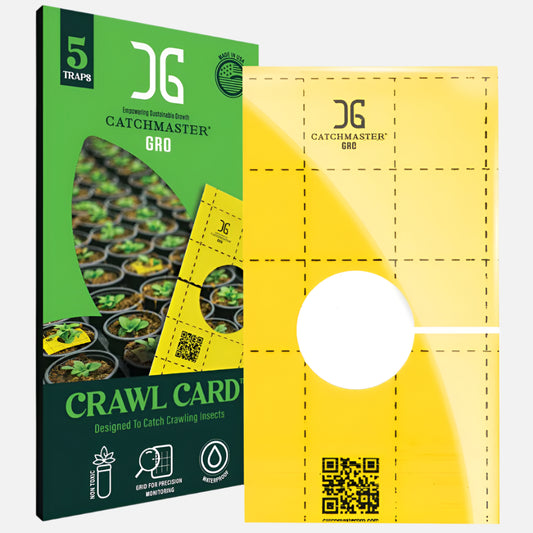 Sticky Insect Traps with Center Hole Sticky Insect Traps with Center Hole
