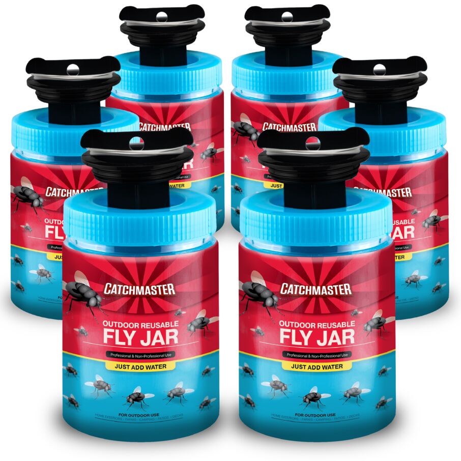 Reusable Fly Trap Jar With Food-Based Lure Reusable Fly Trap Jar With Food-Based Lure