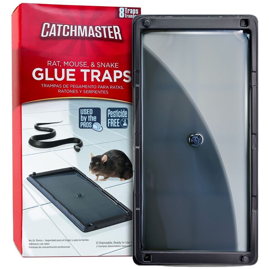 Rat, Mouse & Insect Glue Traps Rat, Mouse & Insect Glue Traps