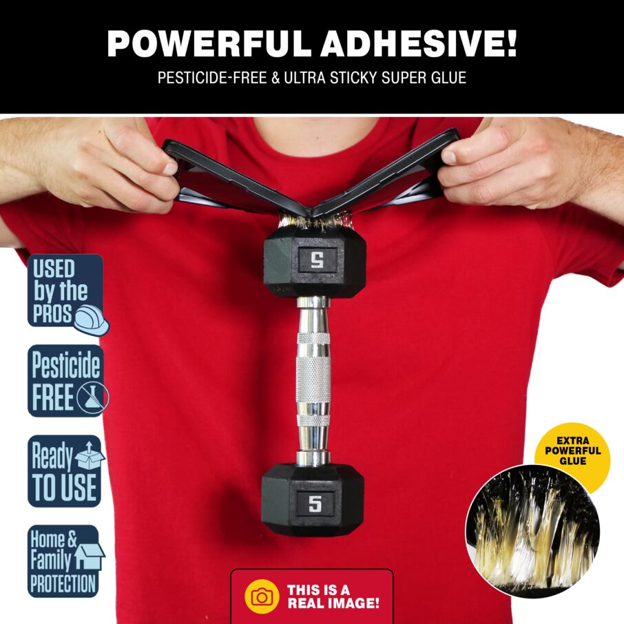 Rat, Mouse & Insect Glue Traps Rat, Mouse & Insect Glue Traps