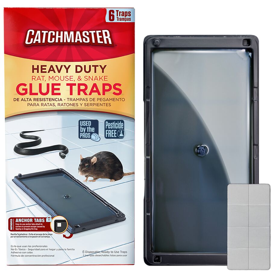 Heavy-Duty Rat, Mouse & Insect Glue Traps Heavy-Duty Rat, Mouse & Insect Glue Traps