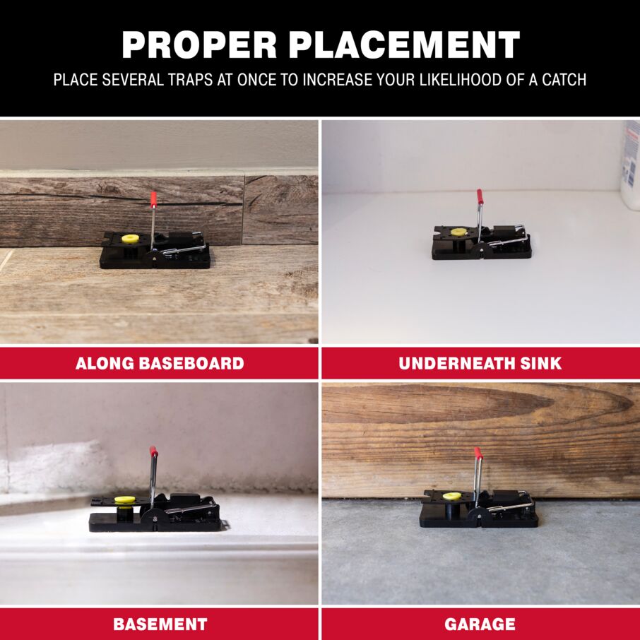 Predator Mouse Snap Trap Predator Mouse Snap Trap