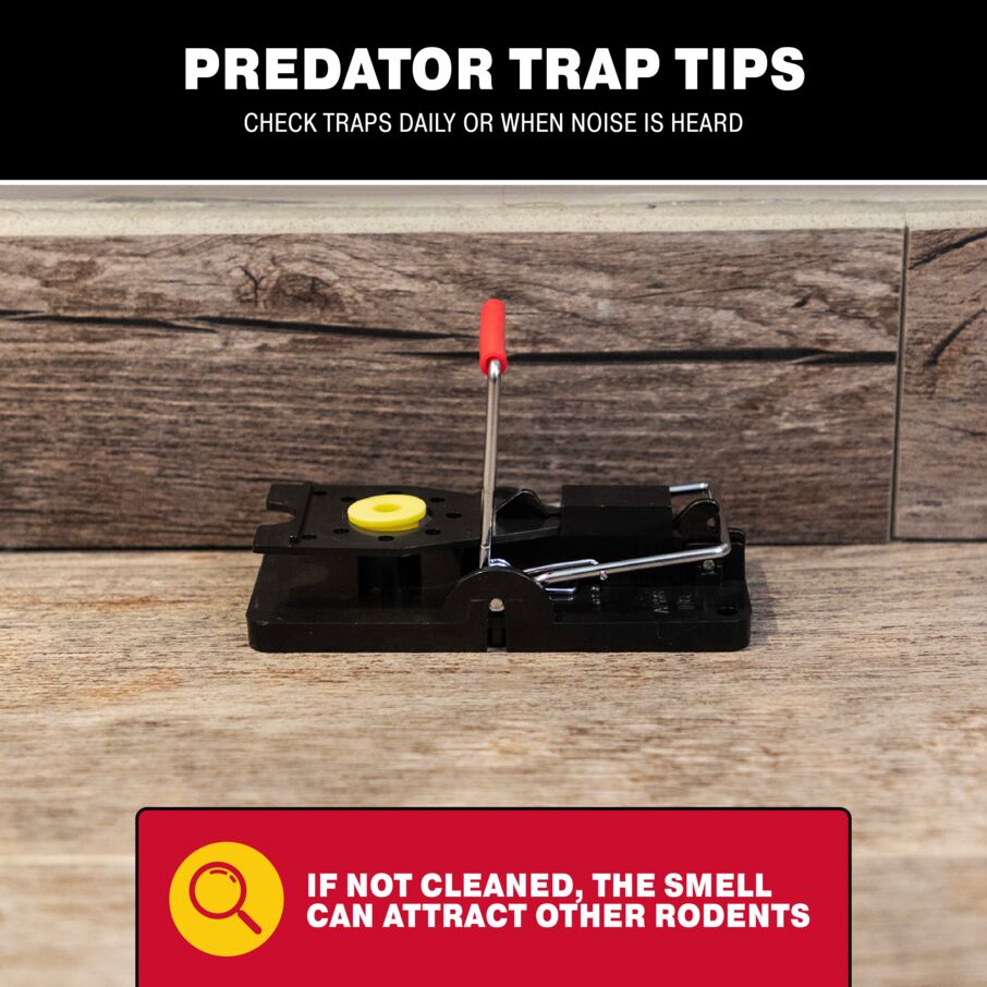 Predator Mouse Snap Trap Predator Mouse Snap Trap