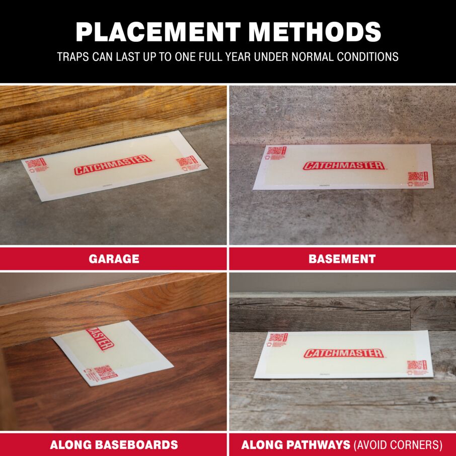Giant XL Glue Traps for Crawling Insects Giant XL Glue Traps for Crawling Insects