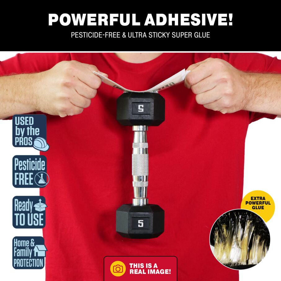 Crawling Pest, Spider & Insect Glue Board Traps Crawling Pest, Spider & Insect Glue Board Traps