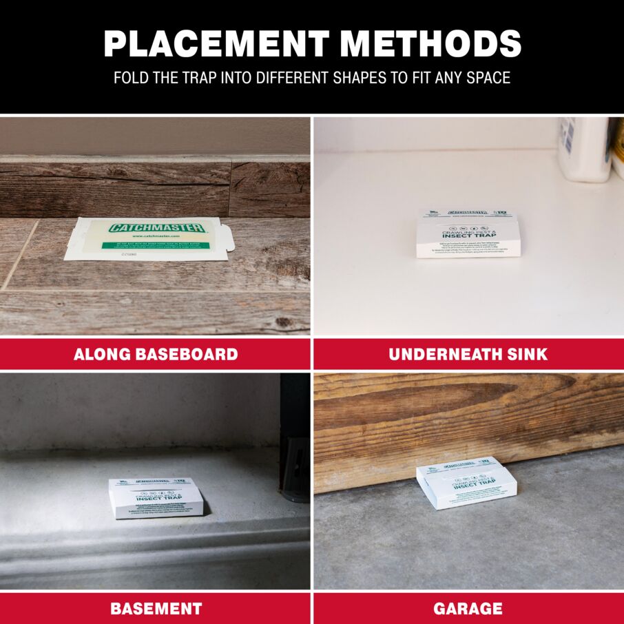 Crawling Pest, Spider & Insect Glue Board Traps Crawling Pest, Spider & Insect Glue Board Traps