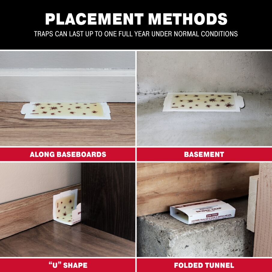 Spider Glue Board Traps Spider Glue Board Traps