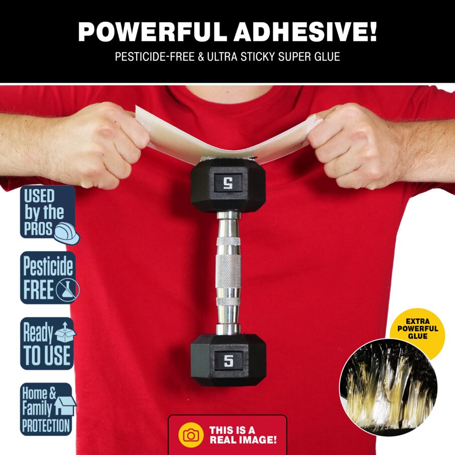 Mouse & Insect Super Glue Traps Mouse & Insect Super Glue Traps