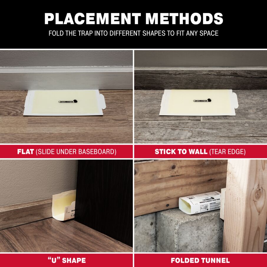 Mouse & Insect Super Glue Traps Mouse & Insect Super Glue Traps
