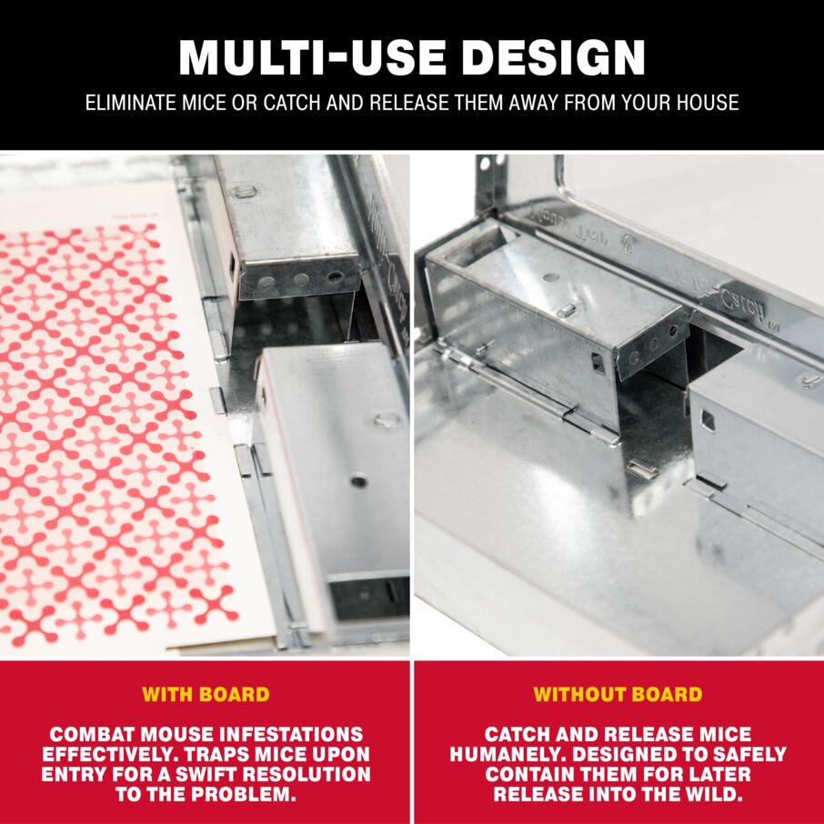 Mouse & Insect Glue Board Traps Mouse & Insect Glue Board Traps