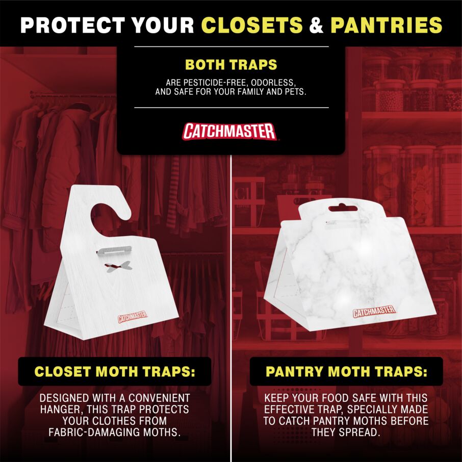 Catchmaster Premium Clothes Moth Traps with PheroGuard Technology, 6 Pack Hardwood Pattern Glue Traps for Closets Catchmaster Premium Clothes Moth Traps with PheroGuard Technology, 6 Pack Hardwood Pattern Glue Traps for Closets