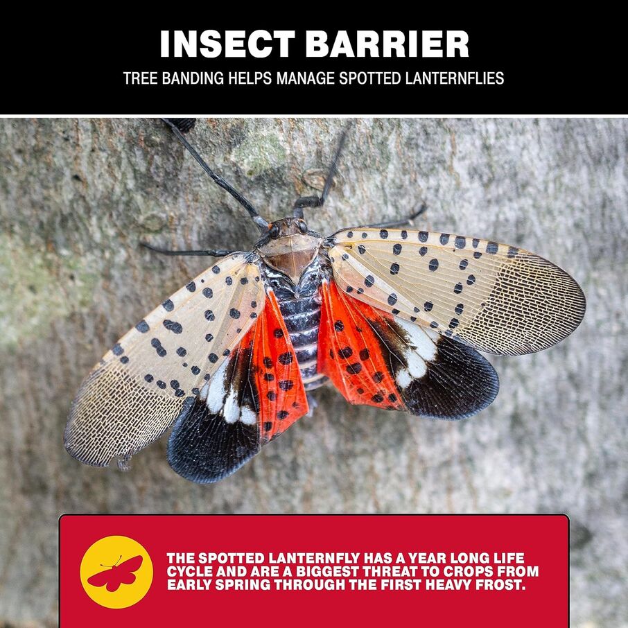 DIY Adhesive Tree Insect Barrier Kit DIY Adhesive Tree Insect Barrier Kit