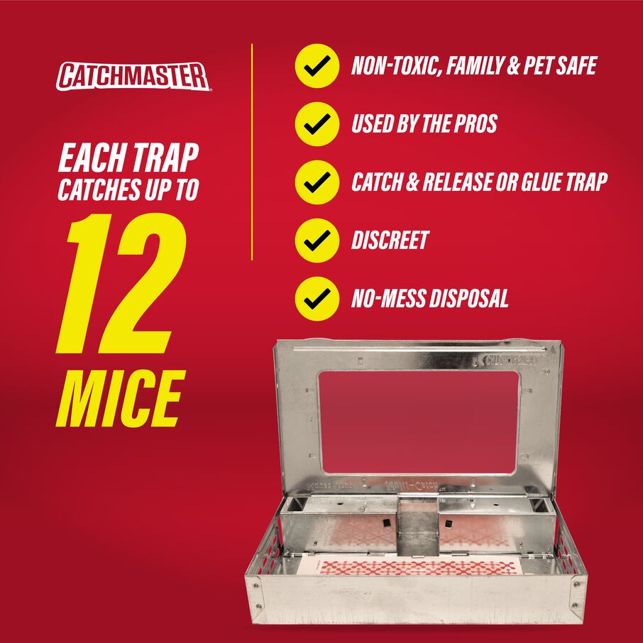 Pro Series Multi-Catch Mouse Trap & Glue Board Traps Pro Series Multi-Catch Mouse Trap & Glue Board Traps