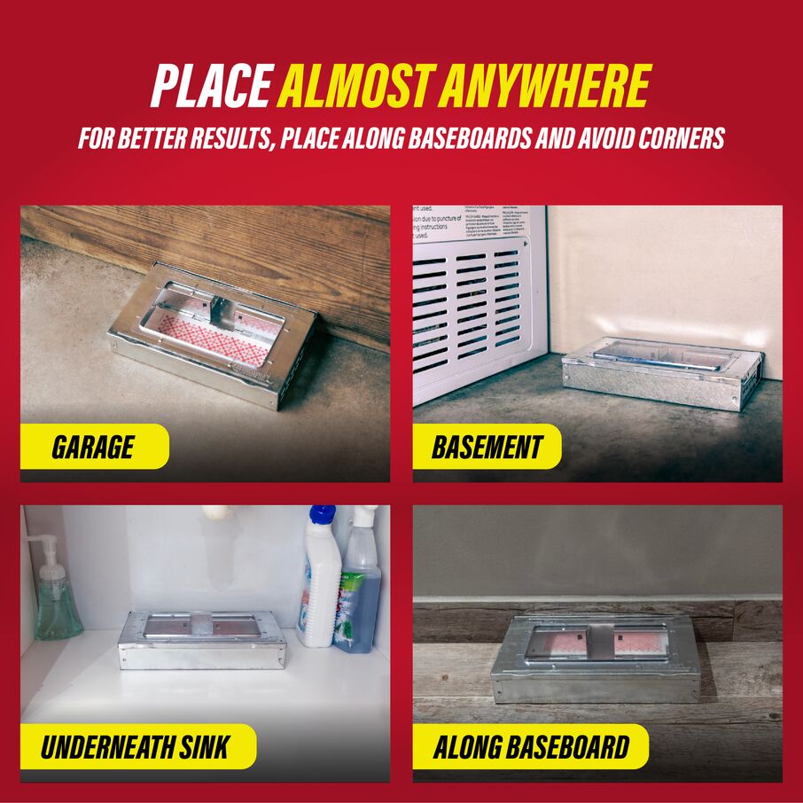 Pro Series Multi-Catch Mouse Trap & Glue Board Traps Pro Series Multi-Catch Mouse Trap & Glue Board Traps