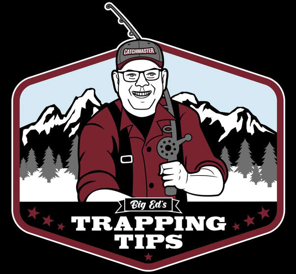 Pest Control Tips Pest Control Tips