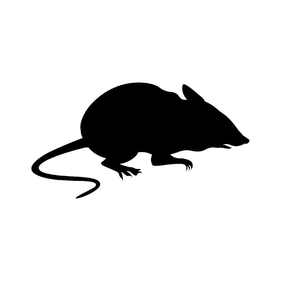 Black Mouse Illustration for Pest Management