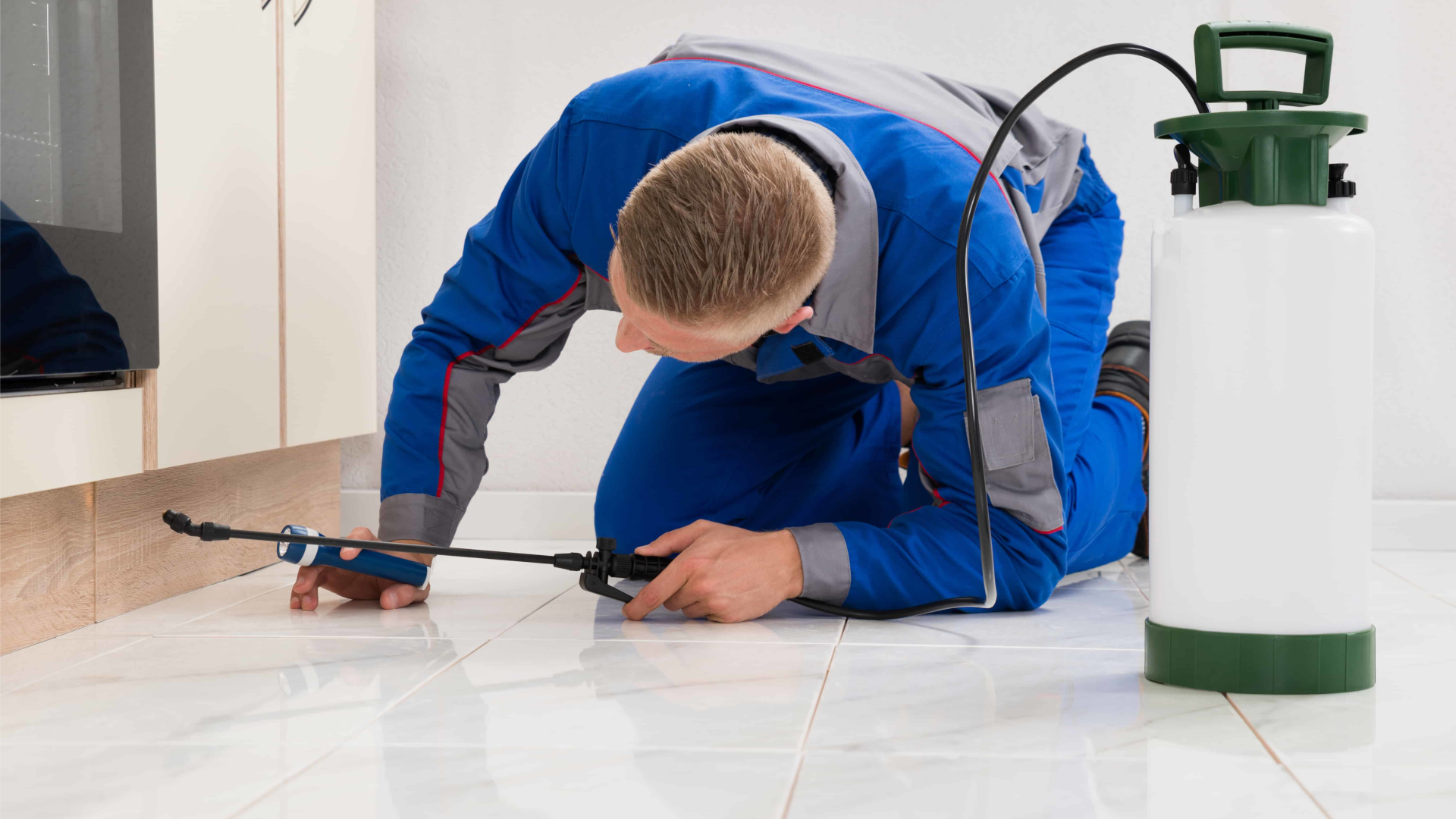 Crawling Pest Control