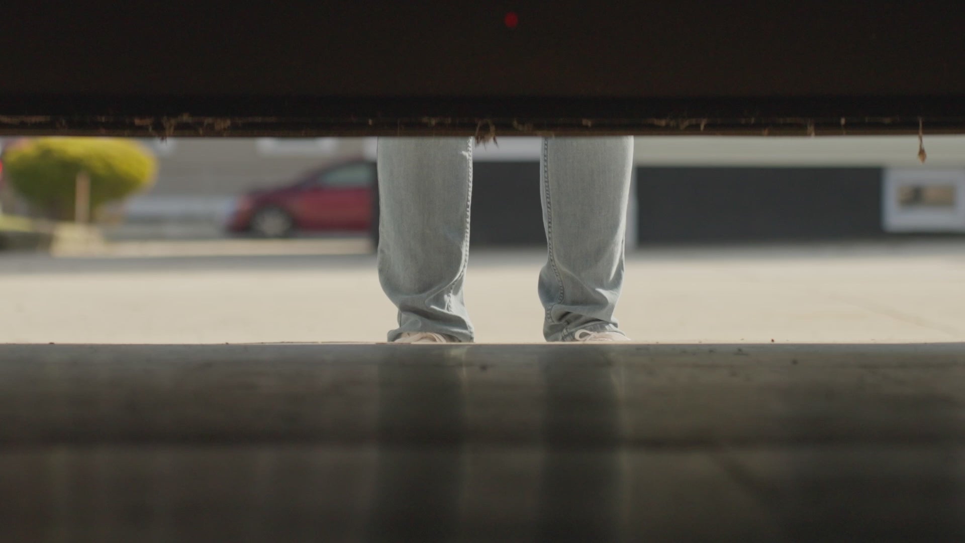 Mouse & Insect Glue Board Traps Mouse & Insect Glue Board Traps