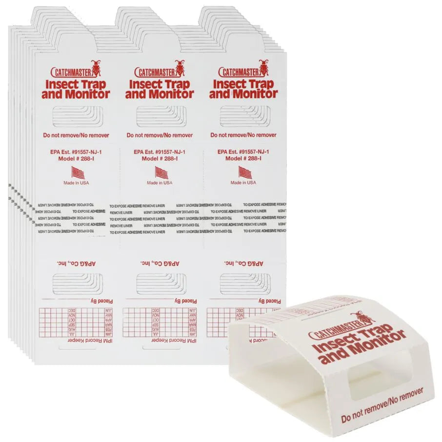 Brown Recluse Spider Glue Board Traps Brown Recluse Spider Glue Board Traps