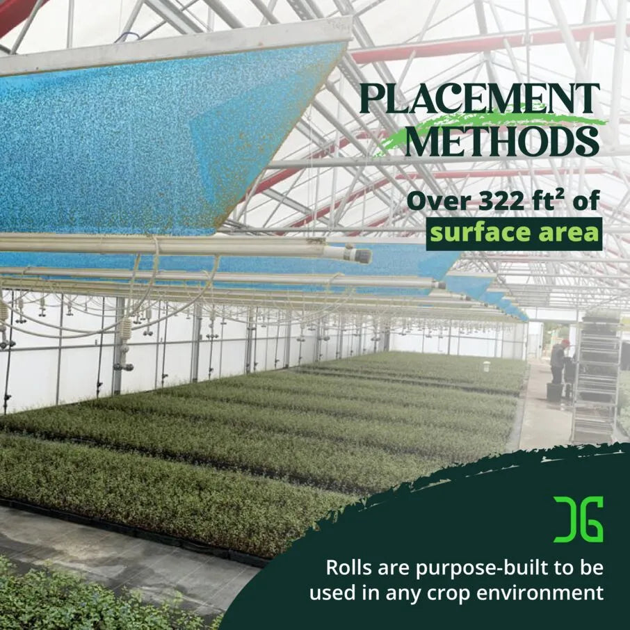 Blue XL AG Roll Blue XL AG Roll