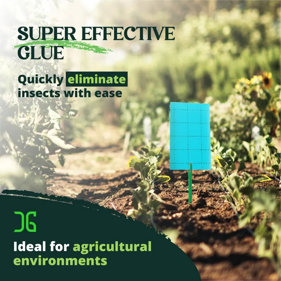 Blue Sticky Card Pest Monitors Blue Sticky Card Pest Monitors