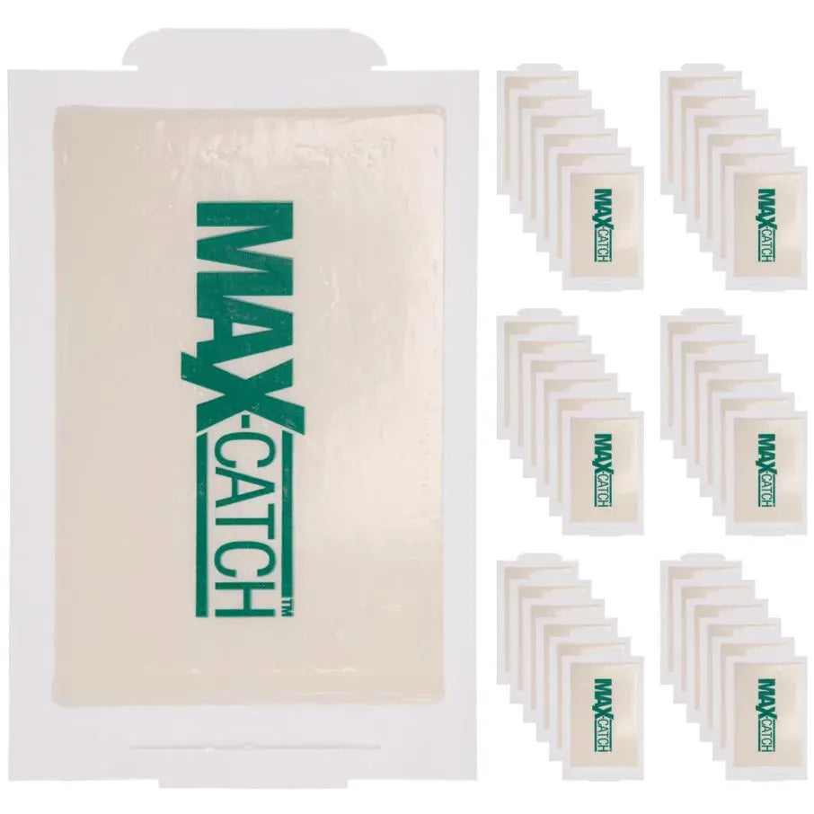 Catchmaster 72max Pest Trap White, 72 Glue Boards