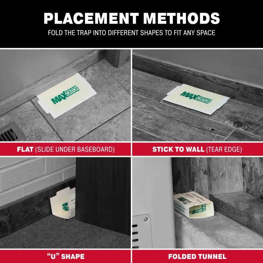 Visual representation of various placement methods for glue trap boards