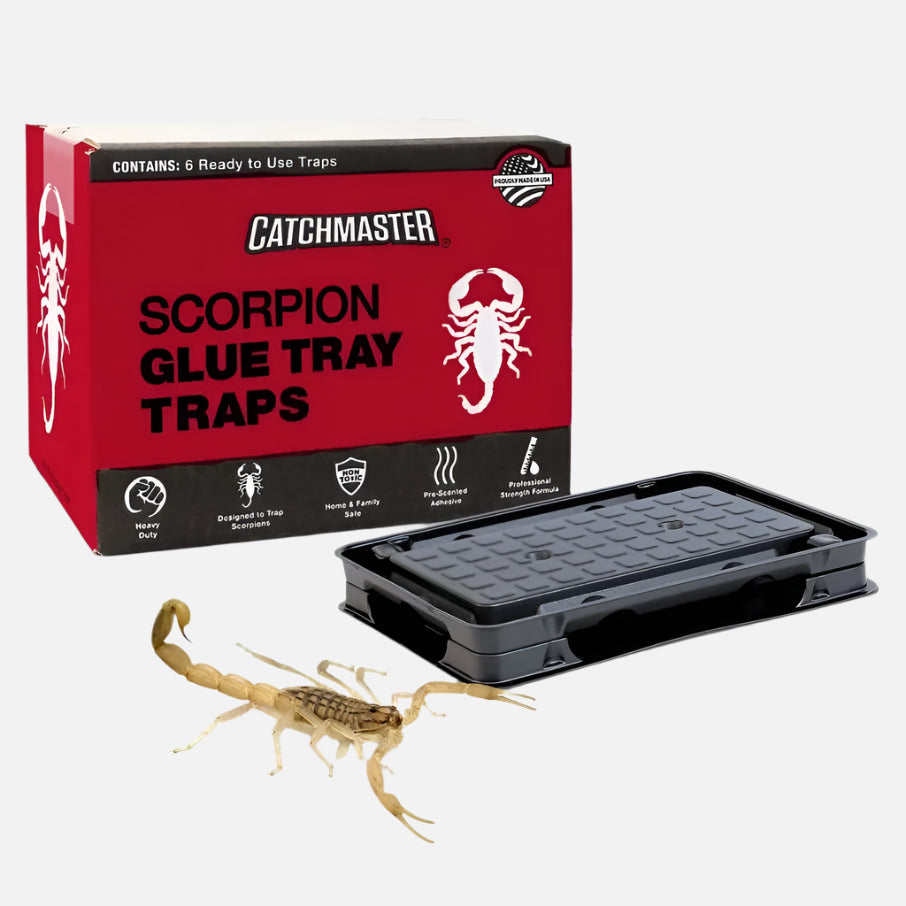 Scorpion Home Pest Control Glue Trays Catchmaster