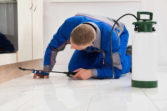 How to Do Your Own Pest Control Monitoring Just Like the Pros Do