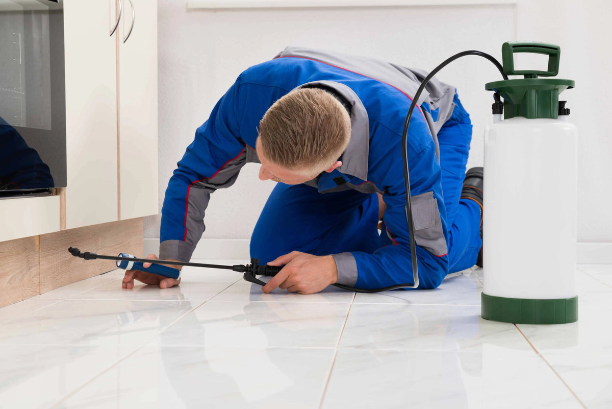 How to Do Your Own Pest Control Monitoring Just Like the Pros Do