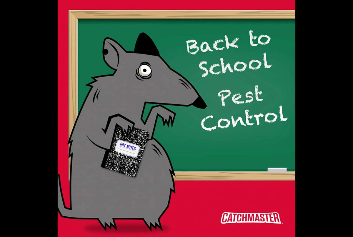 Back to School Pest Control