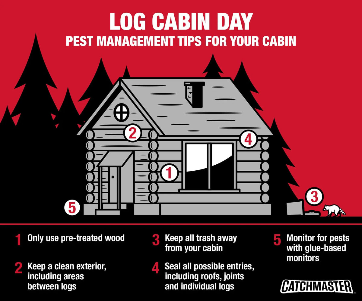 5 Pest Tips for Log Cabins