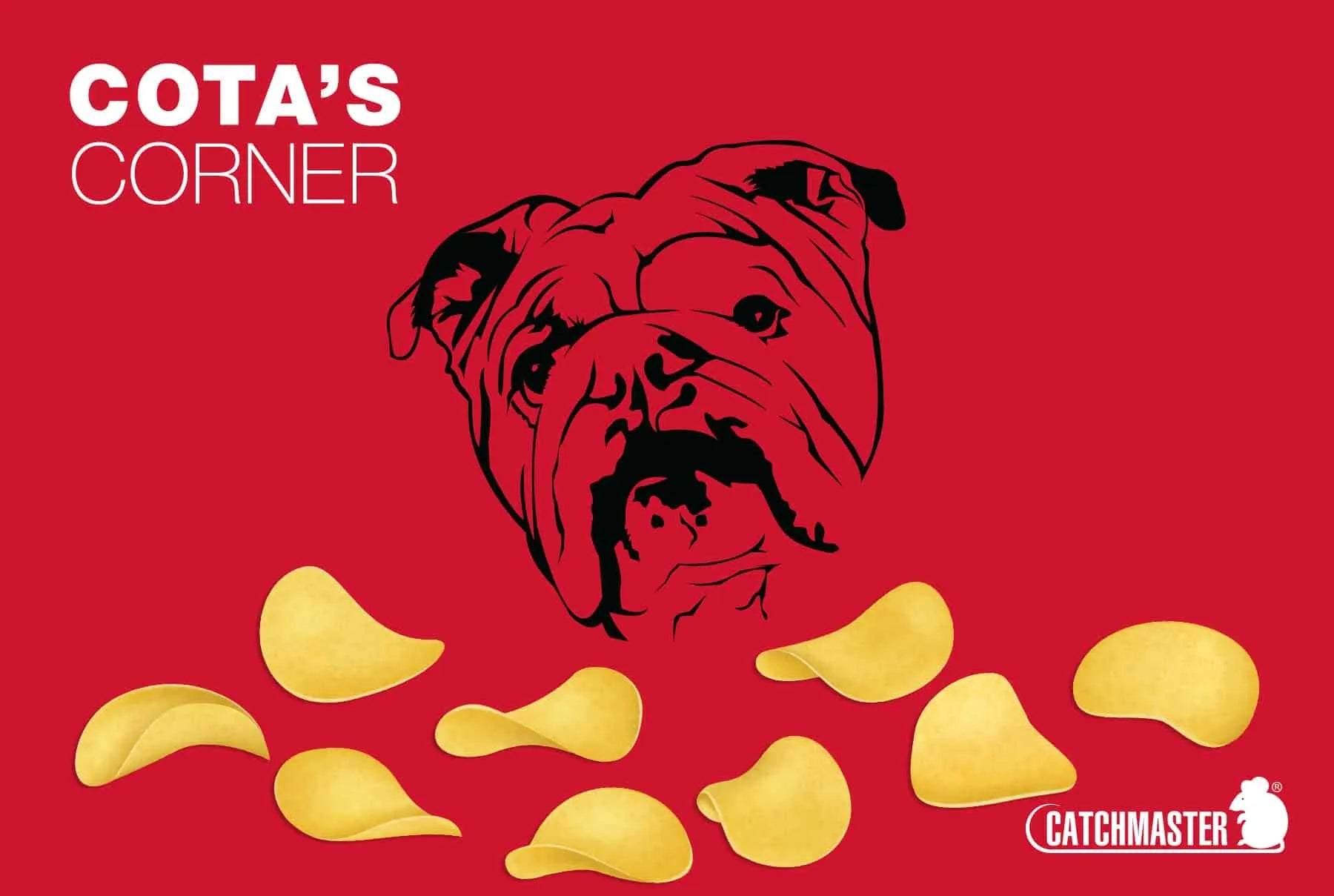 National Potato Chip Day Cota's Corner Catchmaster
