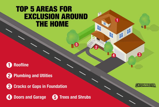 Top 5 Areas for Exclusion Around the Home