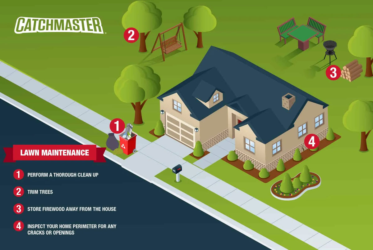 Pest-Free Lawn Maintenance Tips