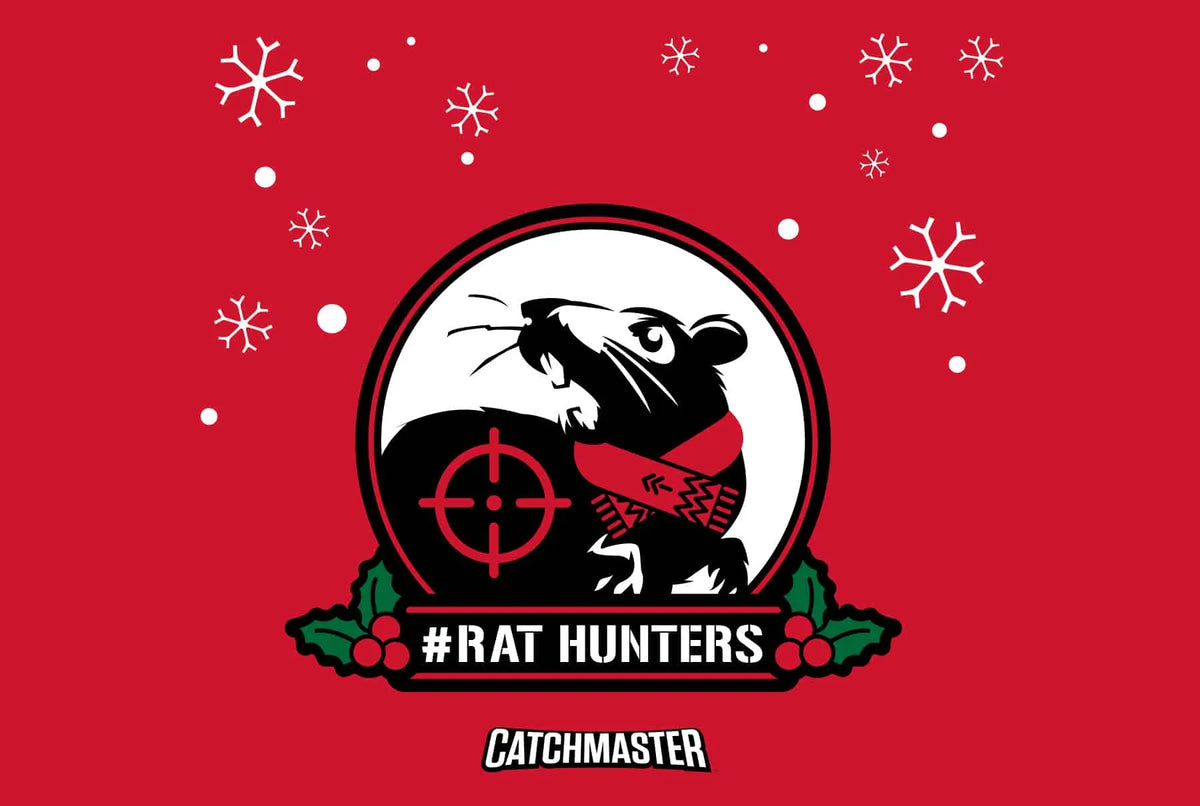 Holiday Pest Prevention Tips for People with Pets