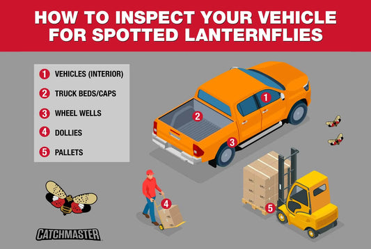 Inspecting a Vehicle for the Spotted Lanternfly