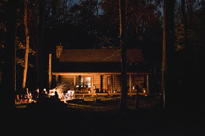 6 Ways to Pest-Proof Your Home for the Winter