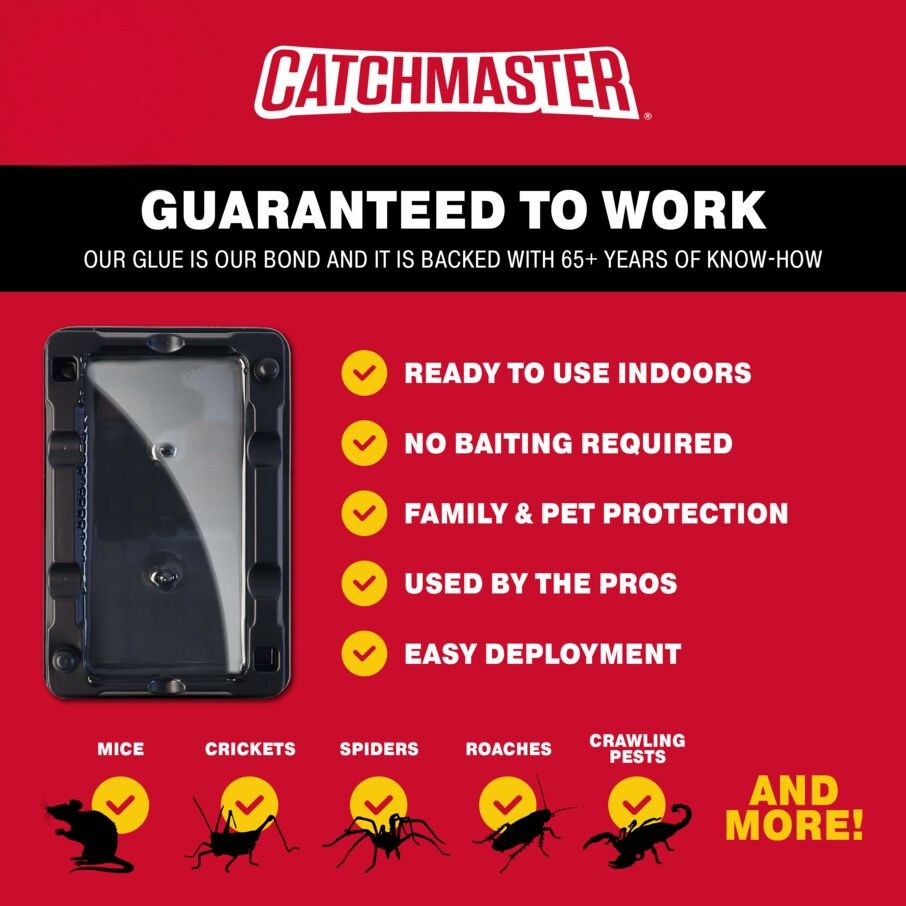 Mouse & Insect Glue Traps
